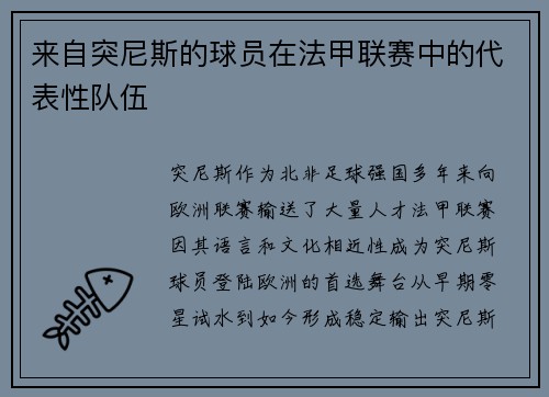 来自突尼斯的球员在法甲联赛中的代表性队伍