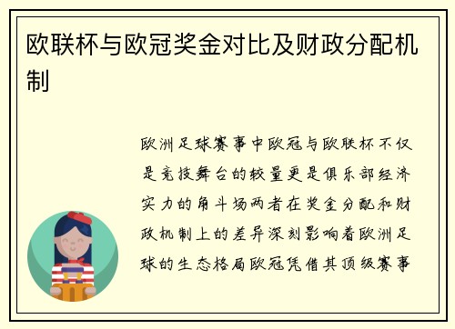 欧联杯与欧冠奖金对比及财政分配机制